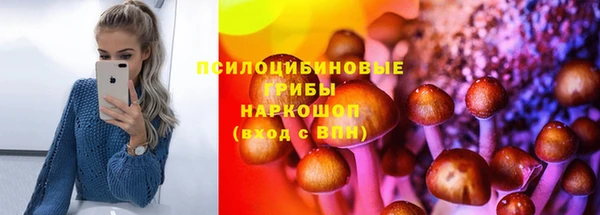 спайс Богданович