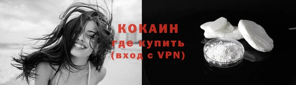 спайс Богданович