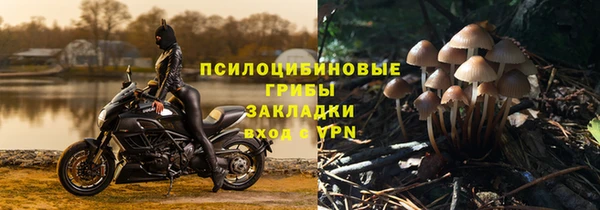 спайс Богданович