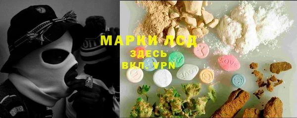 спайс Богданович