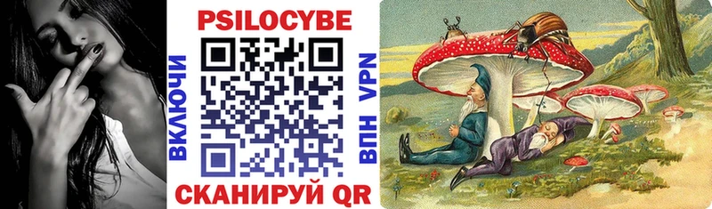 hydra зеркало Невель Псилоцибиновые грибы MAGIC MUSHROOMS